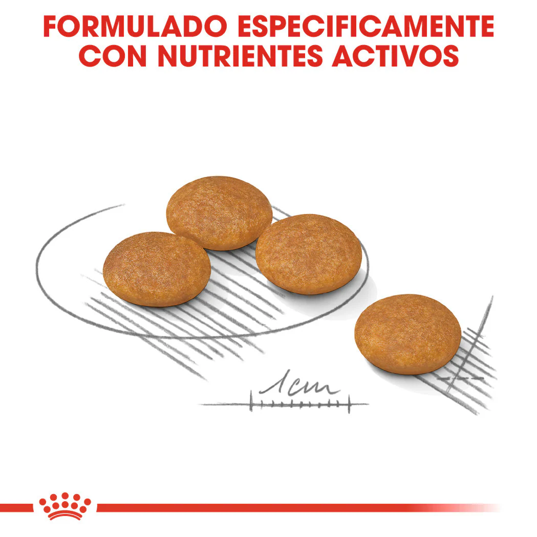 Royal Canin Mini Dermacomfort Care Pienso para Perros - Image 5
