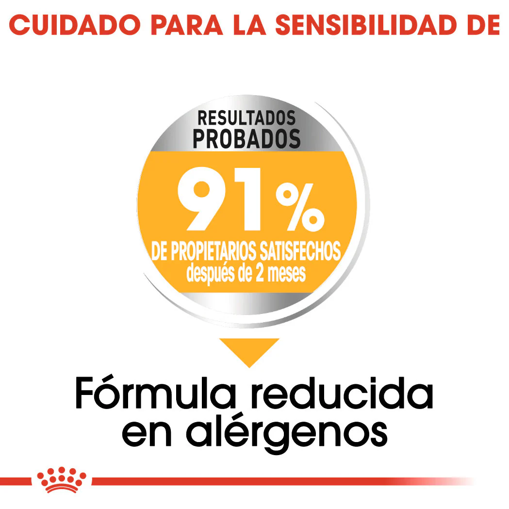 Royal Canin Mini Dermacomfort Care Pienso para Perros - Image 6
