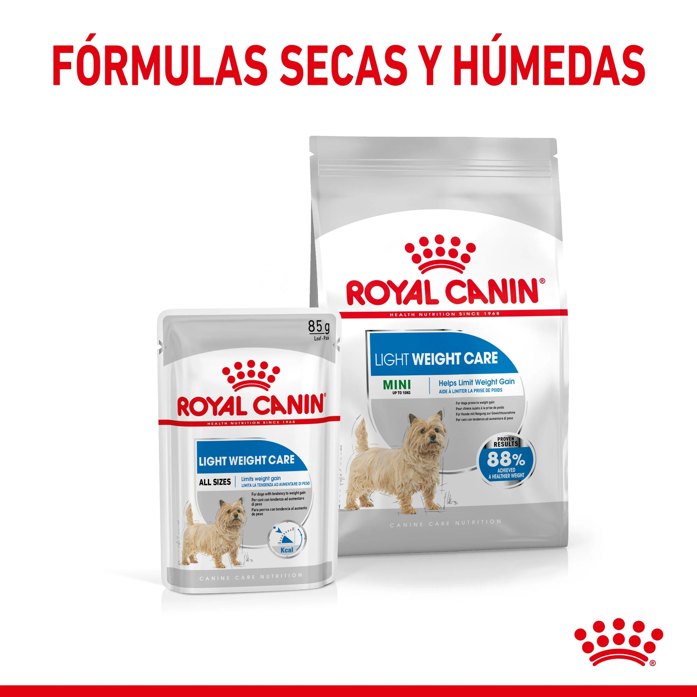 Royal Canin Mini Light Weight Care Pienso para Perros - Image 6