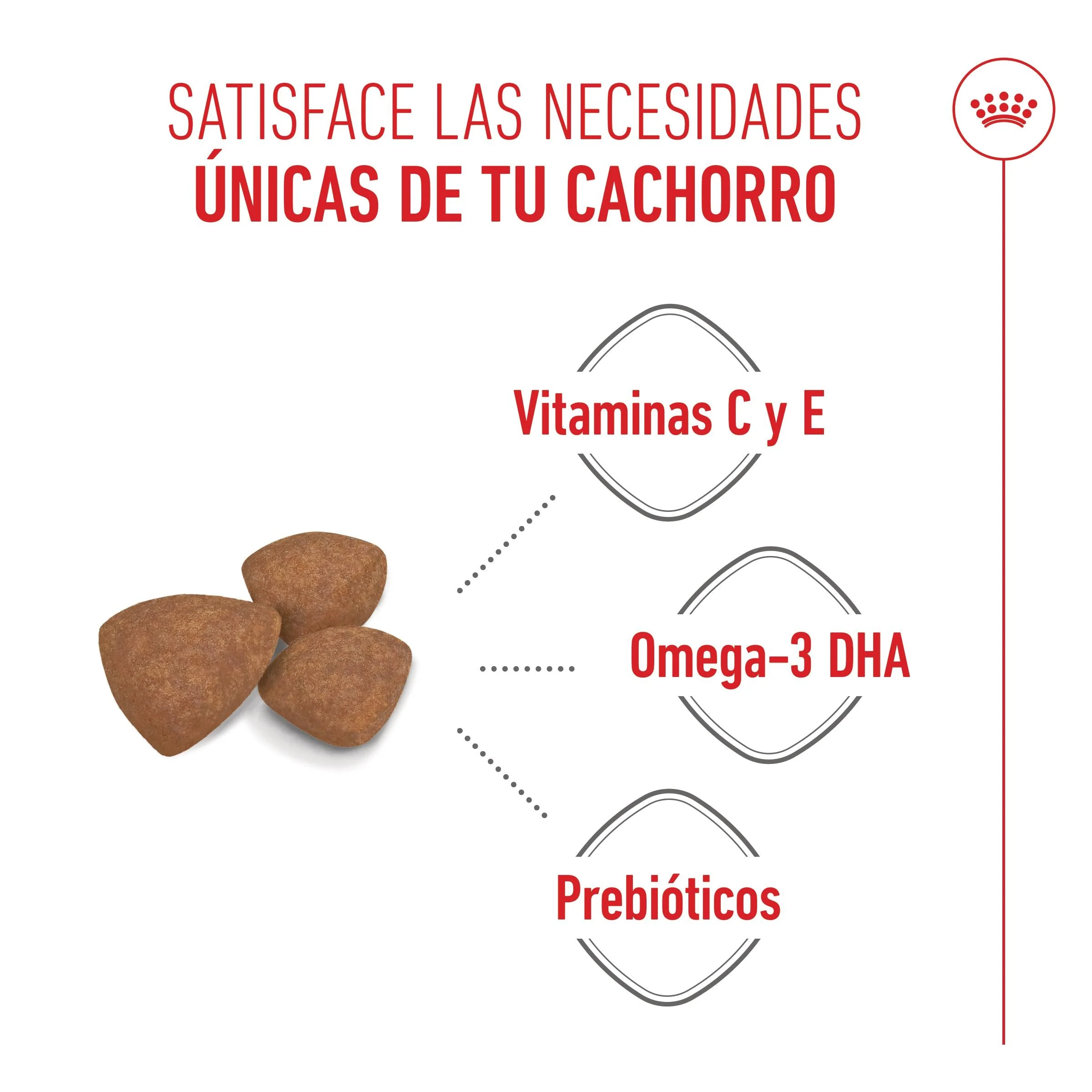 Royal Canin Mini Puppy Pienso para Cachorros - Image 4
