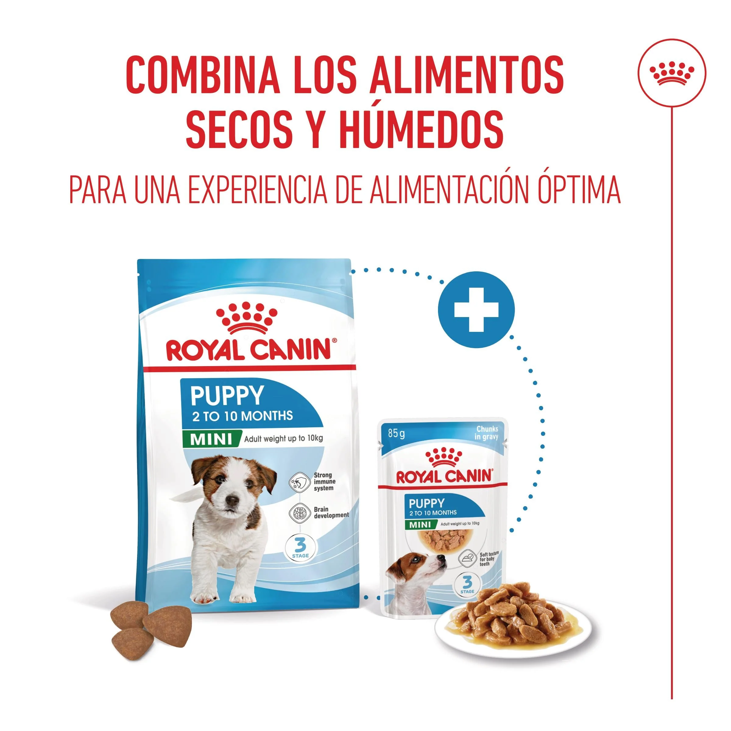 Royal Canin Mini Puppy Pienso para Cachorros - Image 5