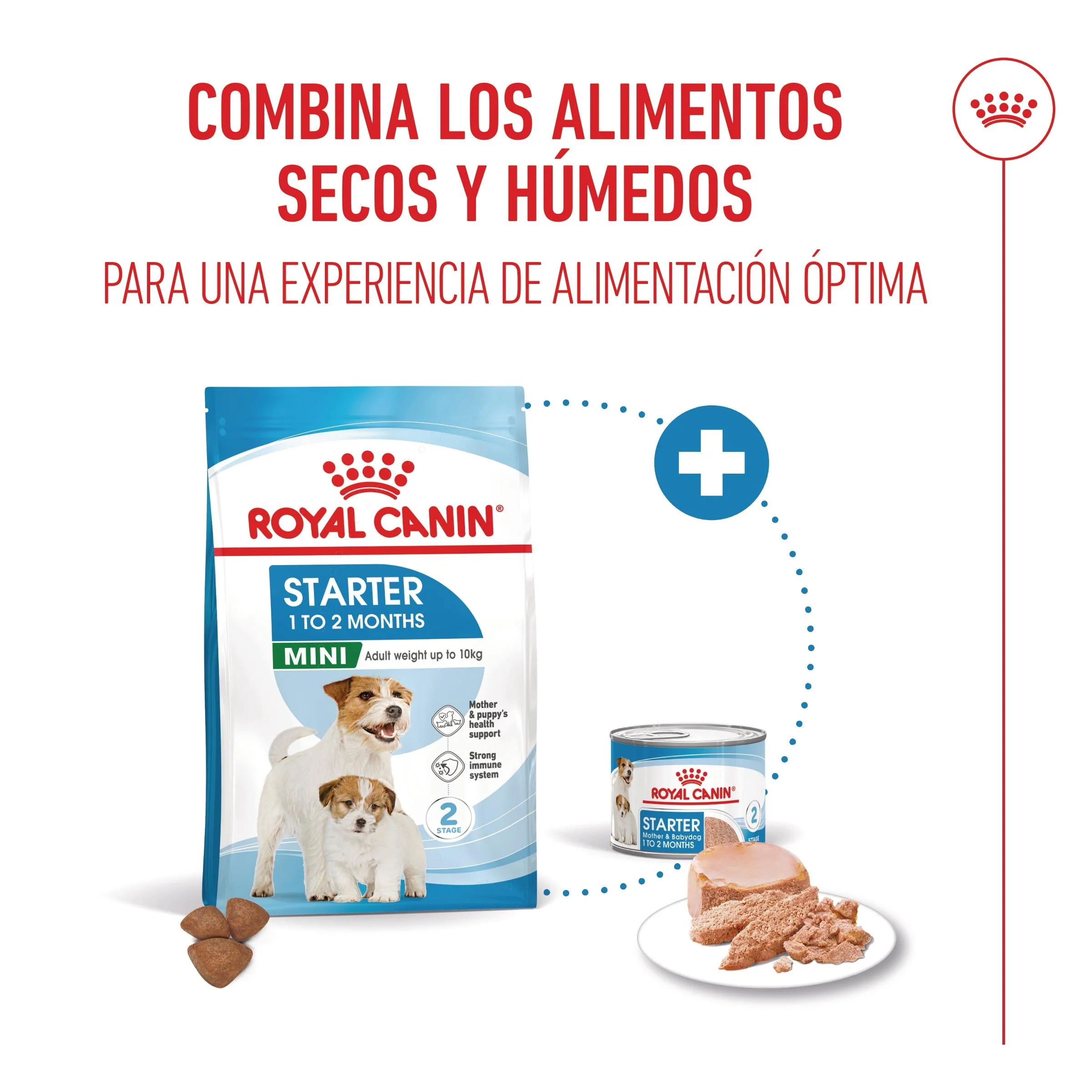 Royal Canin Mini Starter Mother & Babydog Pienso para Cachorros y Madres Lactantes - Image 2