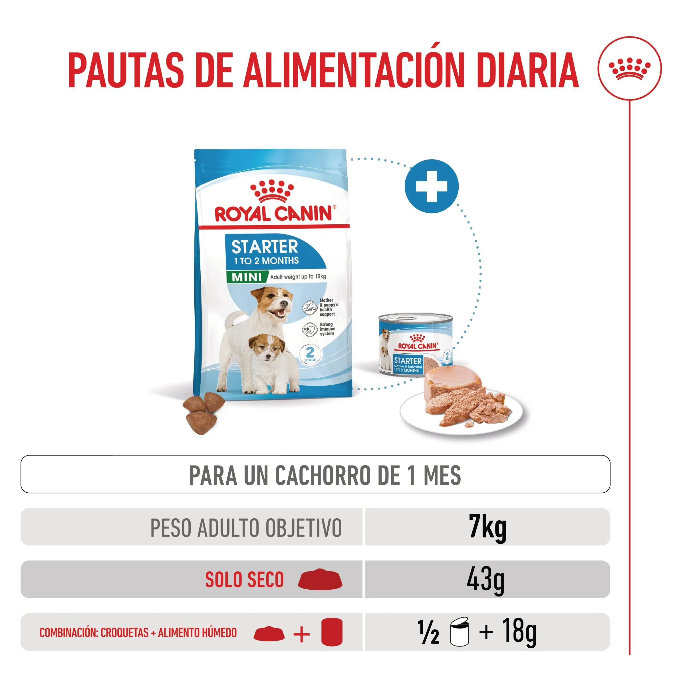 Royal Canin Mini Starter Mother & Babydog Pienso para Cachorros y Madres Lactantes - Image 4