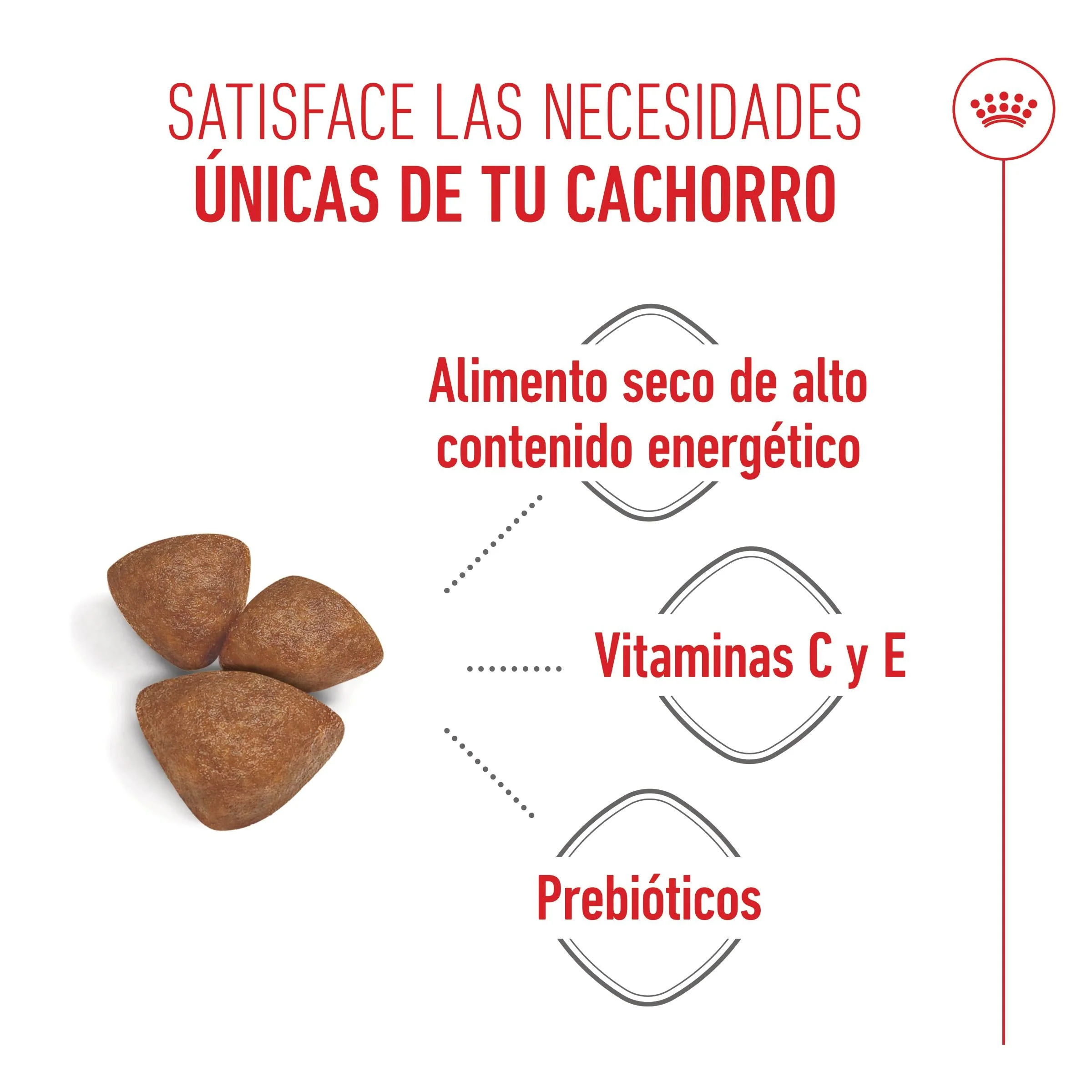 Royal Canin Mini Starter Mother & Babydog Pienso para Cachorros y Madres Lactantes - Image 6