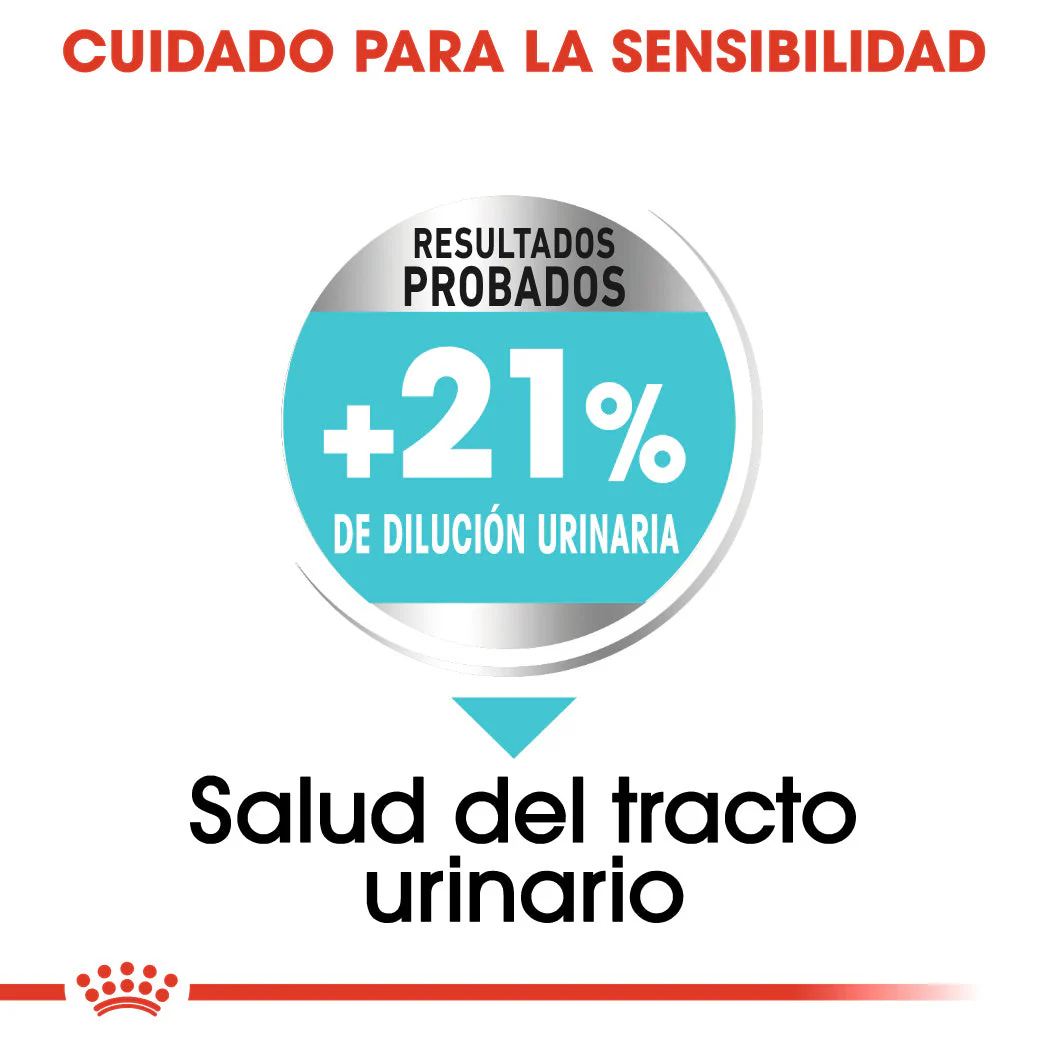 Royal Canin Mini Urinary Care Pienso para Perros - Image 2