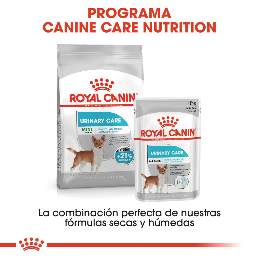 Royal Canin Mini Urinary Care Pienso para Perros - Image 5