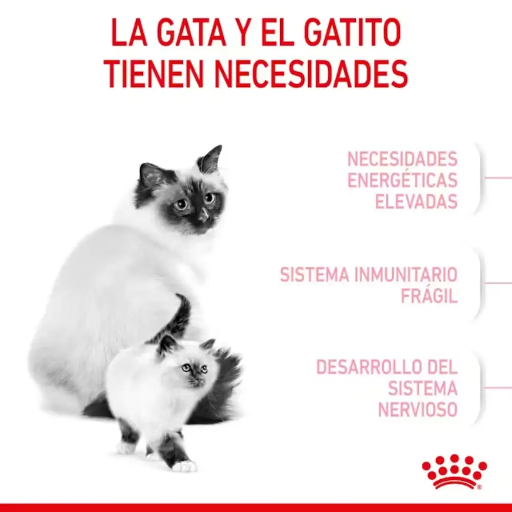 Royal Canin Mother & Babycat Pienso para Gatitos - Image 4