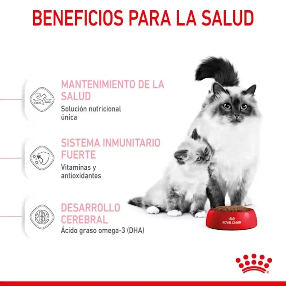 Royal Canin Mother & Babycat Pienso para Gatitos - Image 5