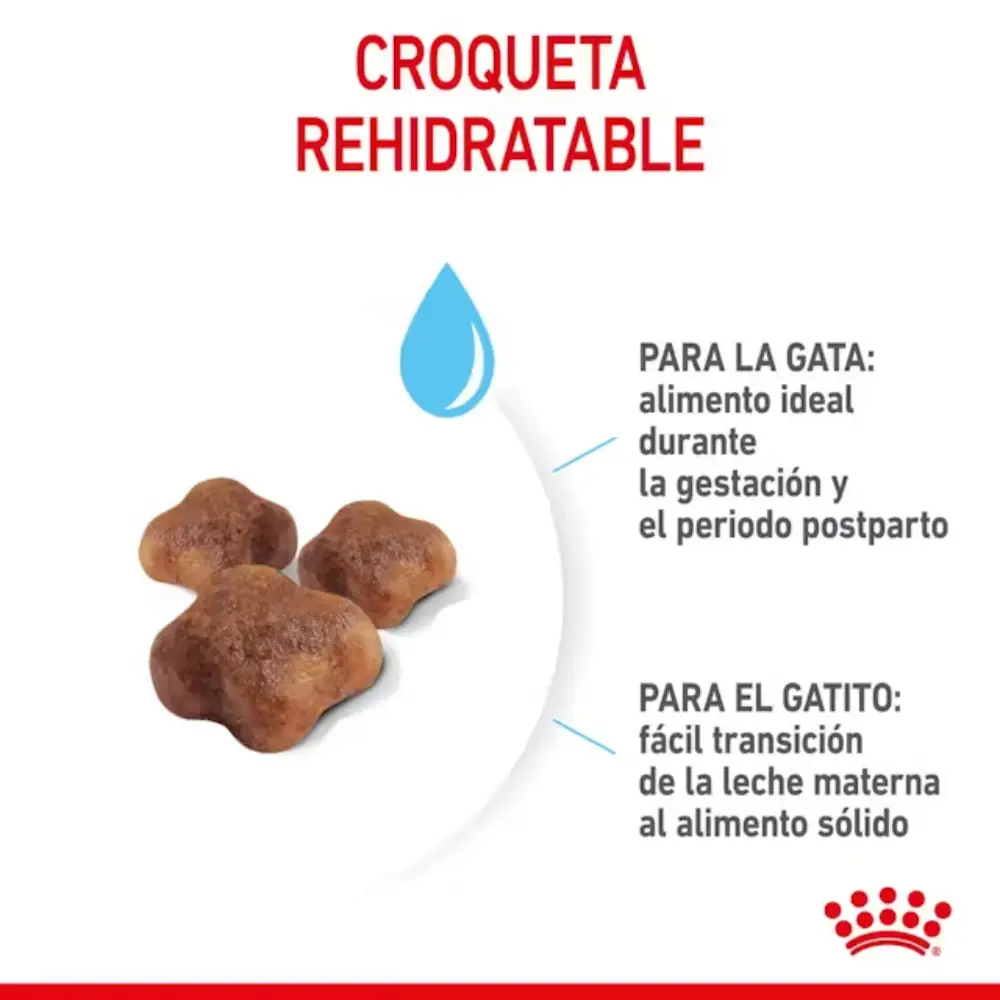 Royal Canin Mother & Babycat Pienso para Gatitos - Image 6