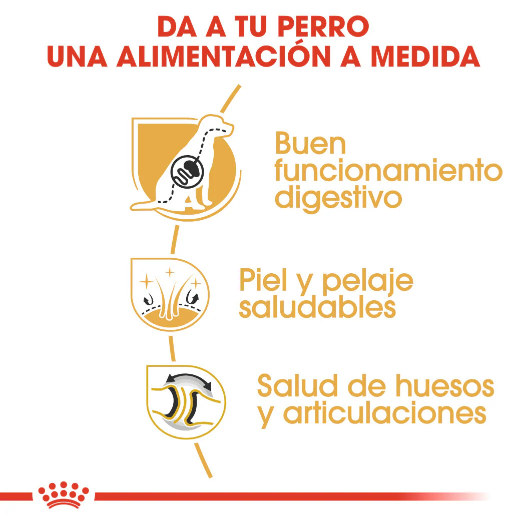Royal Canin Pastor Alemán Adult 11 kg Pienso para Perros de Raza - Image 2