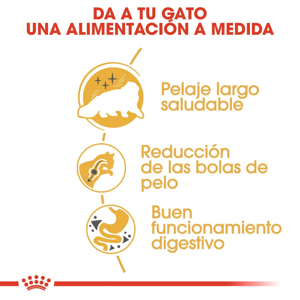 Royal Canin Persian Pienso para Gato Persa Adulto - Image 2
