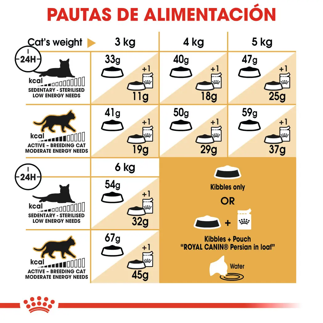 Royal Canin Persian Pienso para Gato Persa Adulto - Image 6