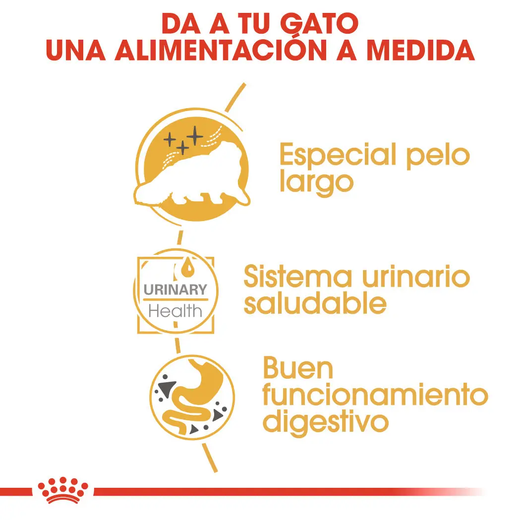 Royal Canin Persian 85 g Paté Húmedo para Gatos - Image 6