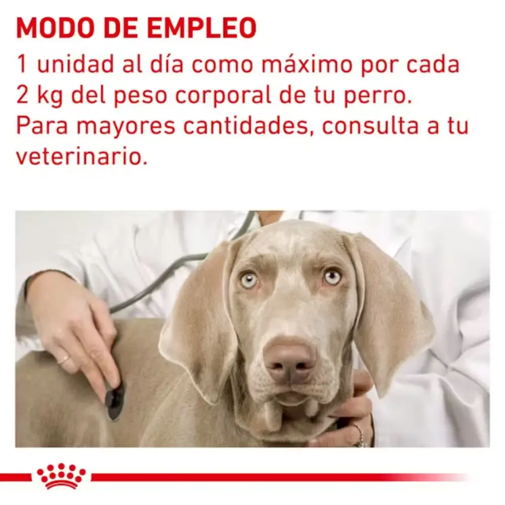 Royal Canin Pill Assist Small S Dog 90 g (Ayuda Para Pastillas) - Image 3