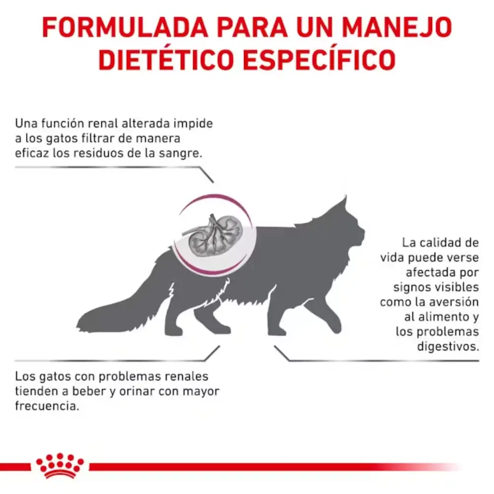 Royal Canin Veterinary Renal Special Pienso para Gatos - Image 4