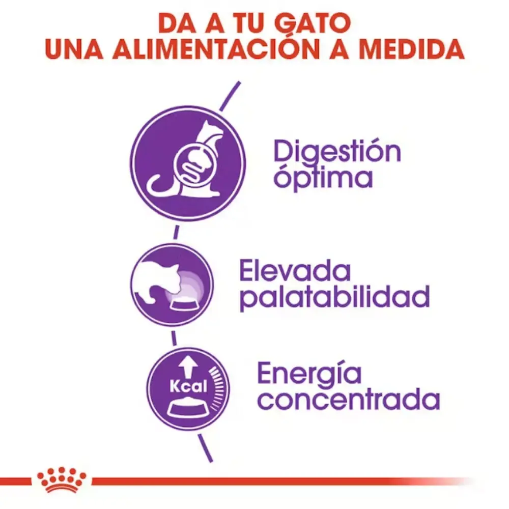 Royal Canin Sensible 33 10 kg Pienso para Gatos - Image 3