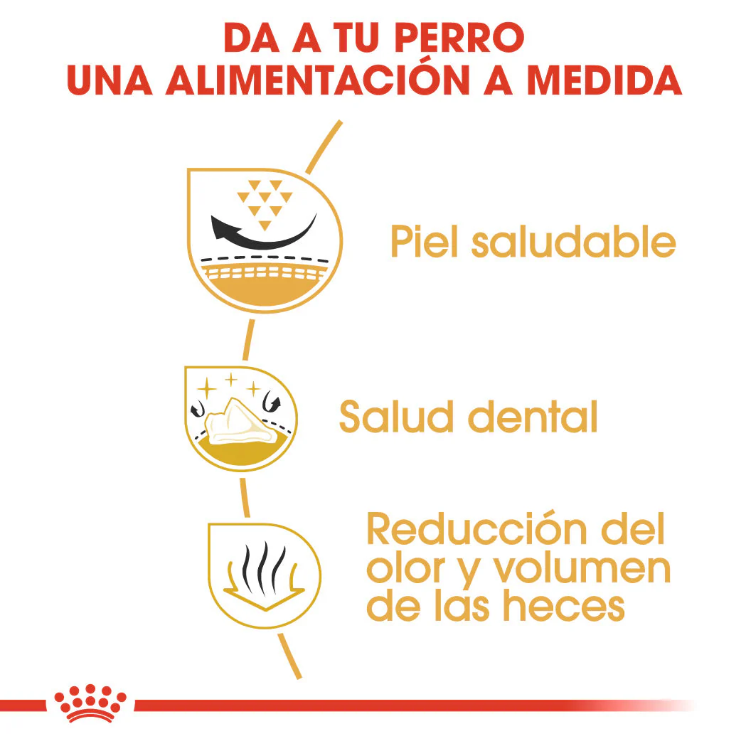 Royal Canin Shih Tzu Adulto Pienso para Perros de Raza - Image 2