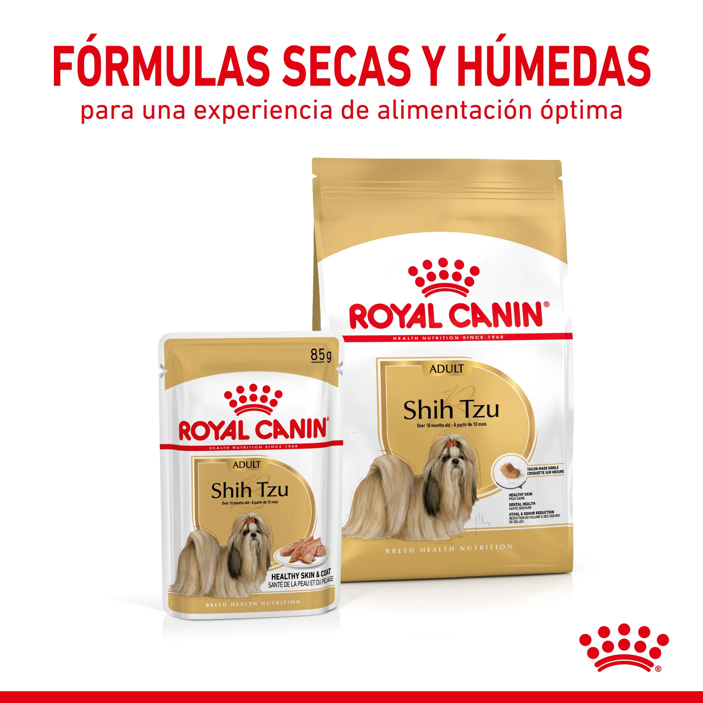 Royal Canin Shih Tzu Paté Adulto 85 g Comida Húmeda para Perros - Image 3