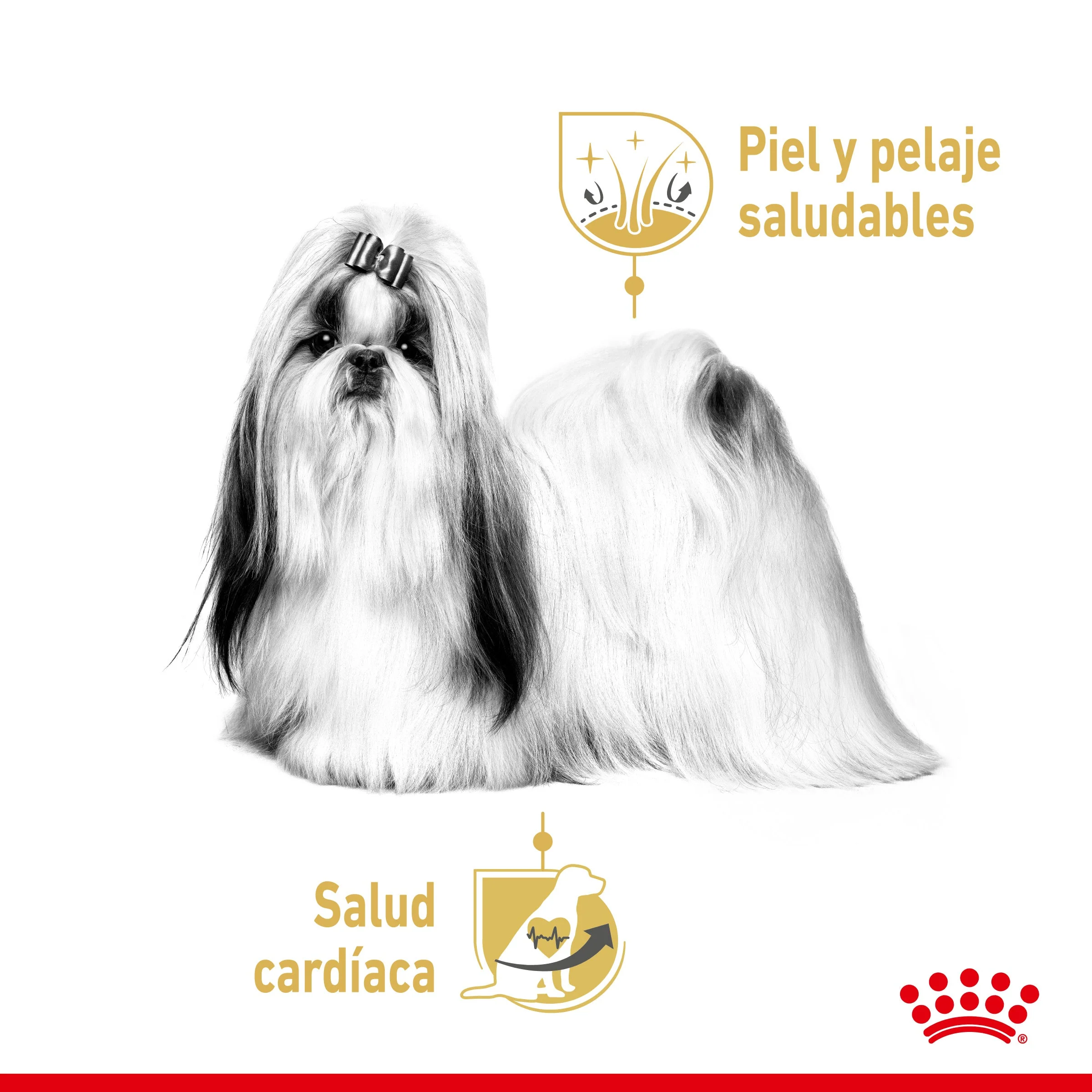 Royal Canin Shih Tzu Paté Adulto 85 g Comida Húmeda para Perros - Image 5