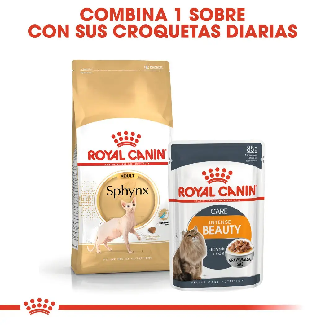 Royal Canin Sphynx Pienso para Gatos Esfinges Egipcios - Image 5
