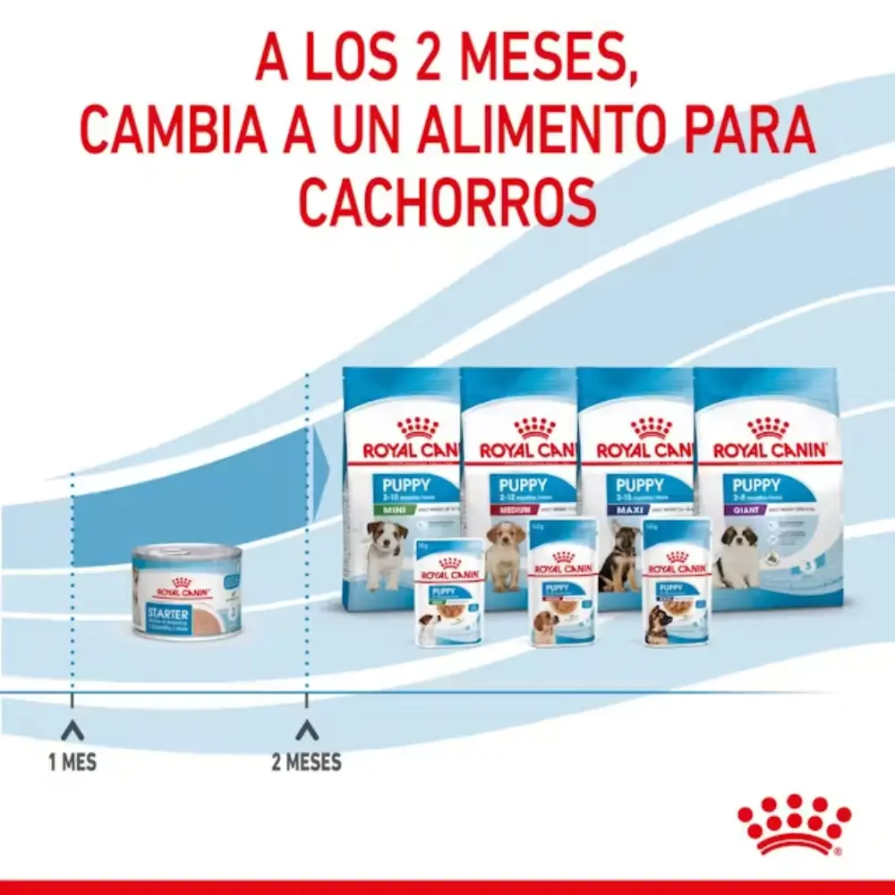Royal Canin Starter Mousse Lata 195 g húmedo - Image 2