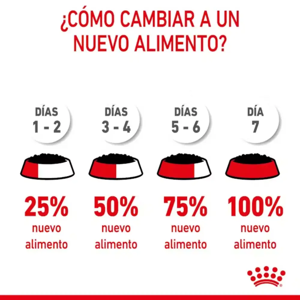 Royal Canin Starter Mousse Lata 195 g húmedo - Image 3