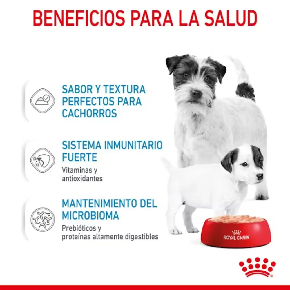 Royal Canin Starter Mousse Lata 195 g húmedo - Image 4