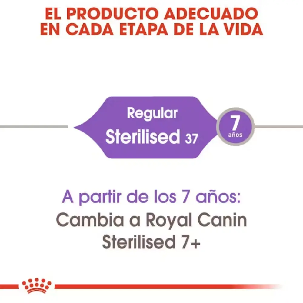 Royal Canin Sterilized 37 Pienso para Gatos Esterilizados - Image 3