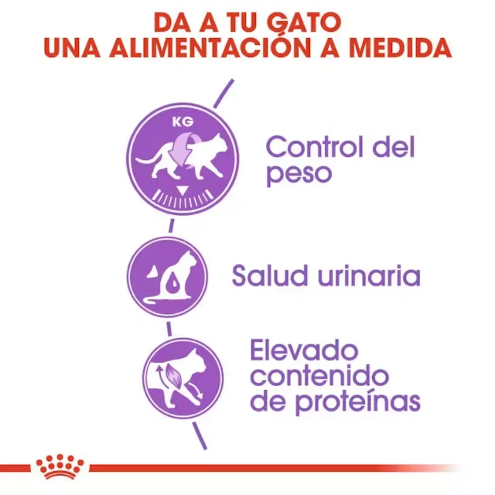 Royal Canin Sterilized 37 Pienso para Gatos Esterilizados - Image 5