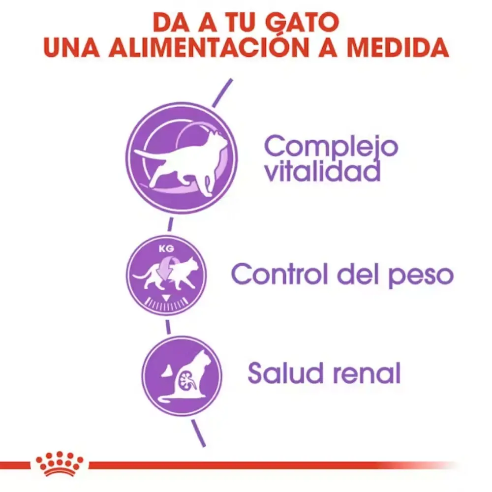 Royal Canin Sterilized 7+ Pienso para Gatos Esterlizados - Image 4