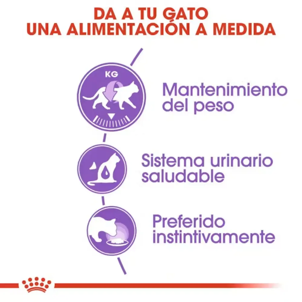 Royal Canin Sterilized Salsa 85 g Comida Húmeda para Gatos - Image 4