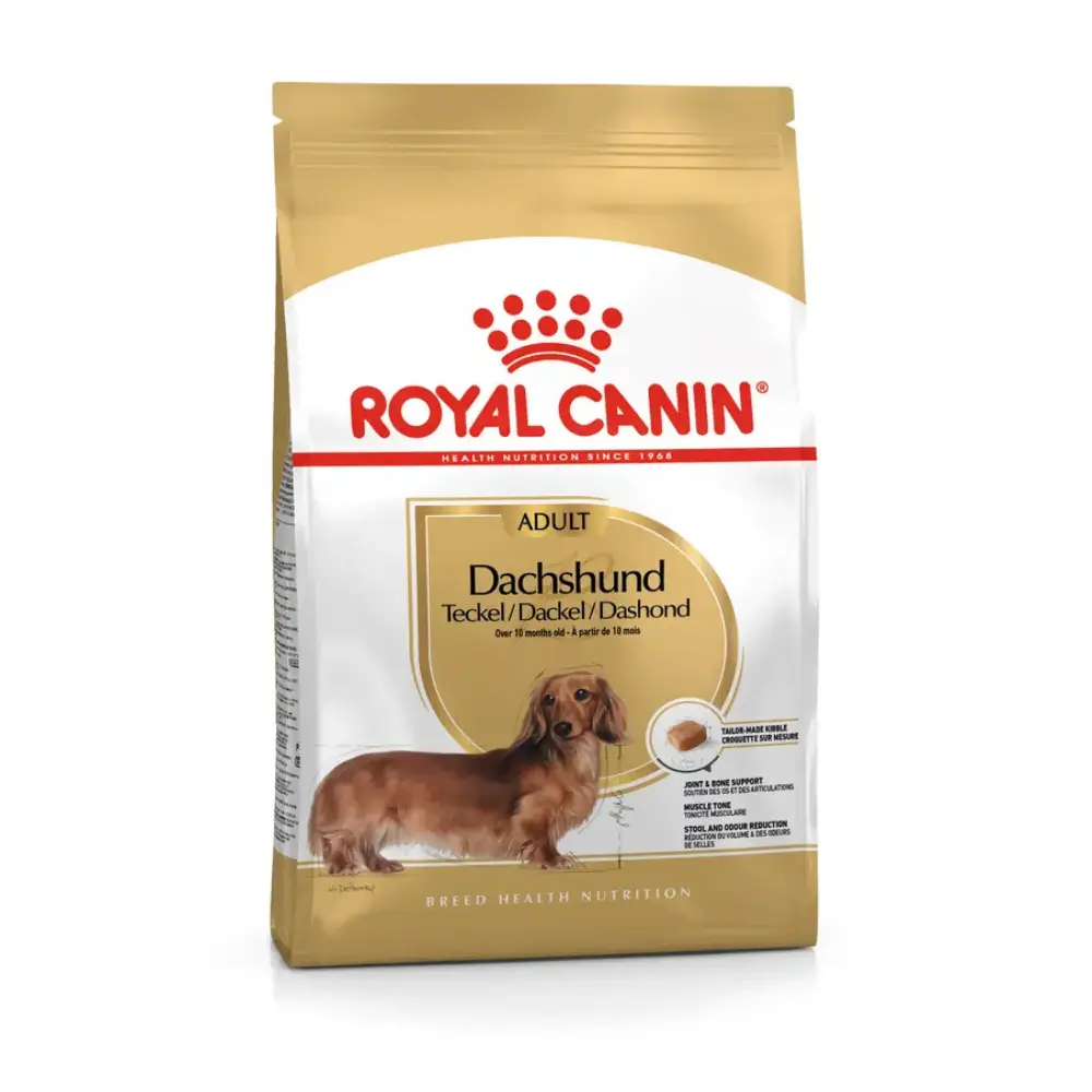 Royal Canin Teckel Dachsund Adulto Pienso para Perros de Raza Salchicha