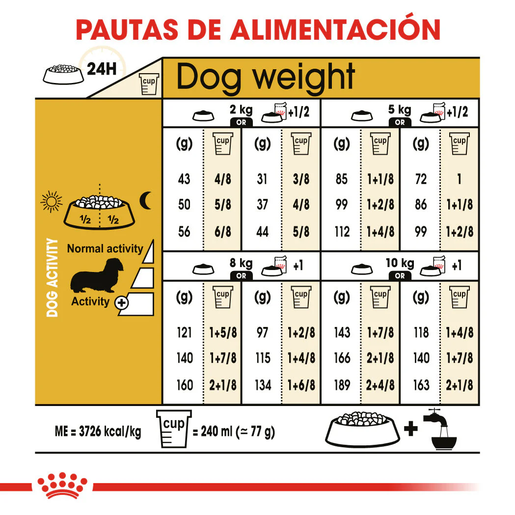 Royal Canin Teckel Dachsund Adulto Pienso para Perros de Raza Salchicha - Image 4