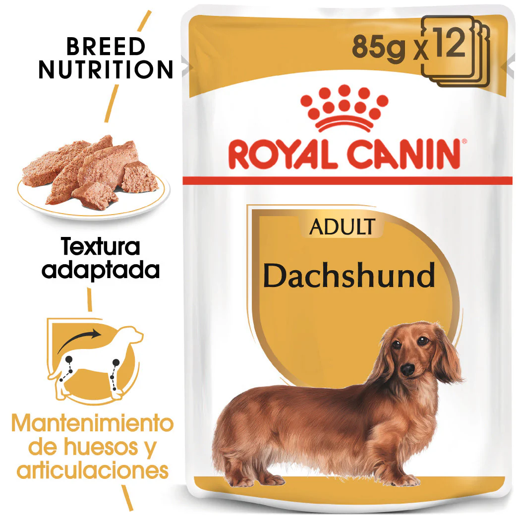 Royal Canin Teckel Dachshund Paté 85 g Comida Húmeda para Perros Salchicha - Image 4