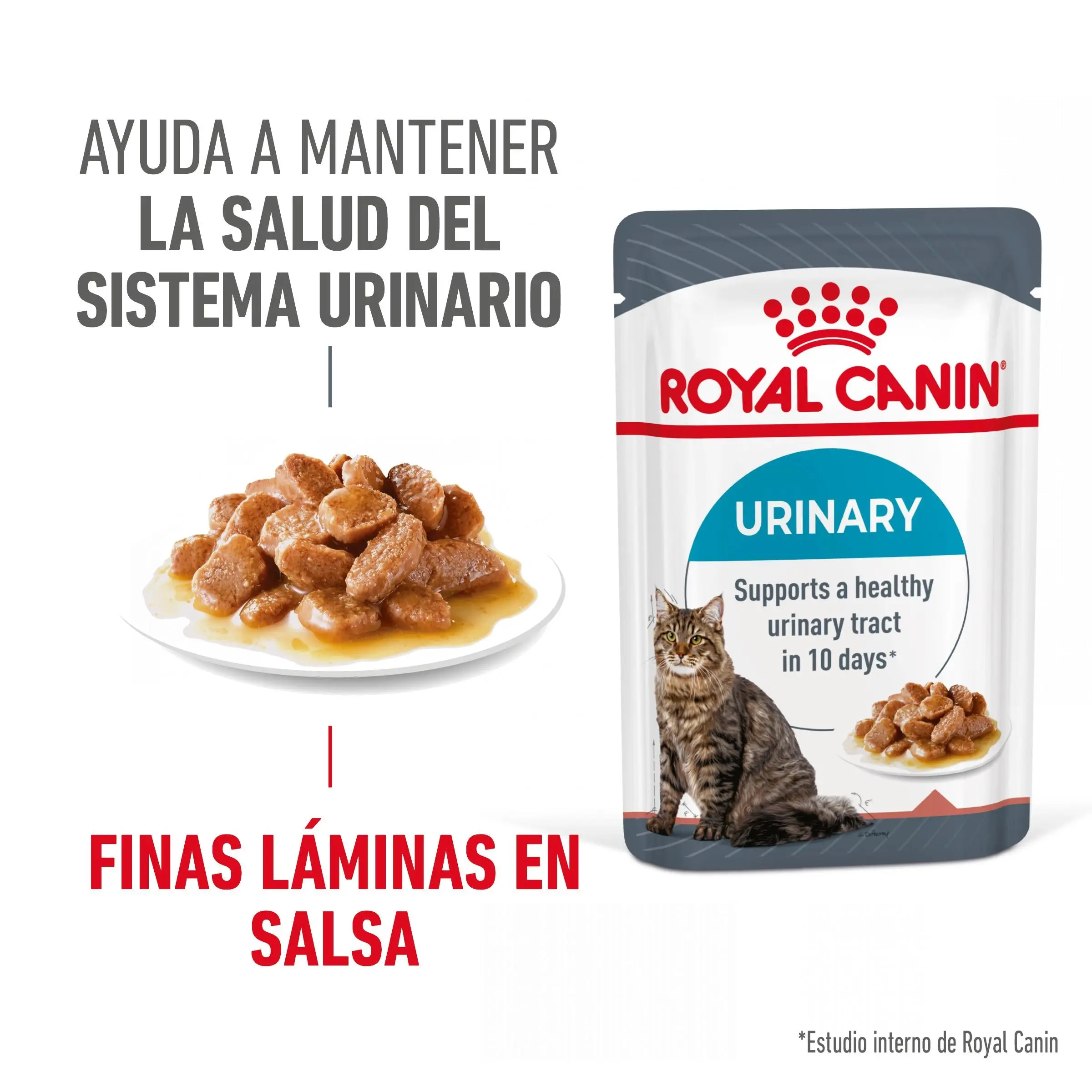 Royal Canin Urinary Care 85 g Salsa Comida Húmeda para Gatos - Image 2