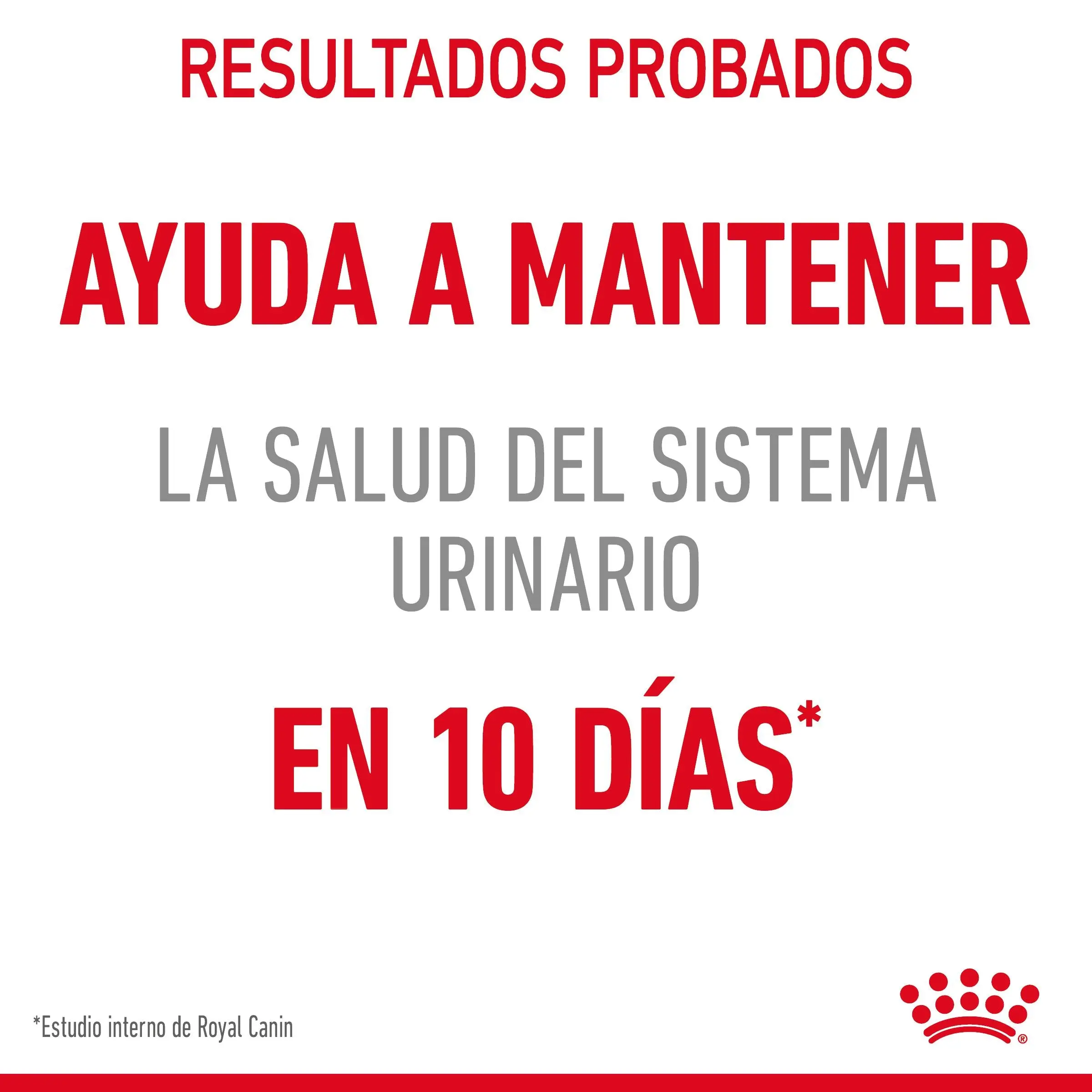 Royal Canin Urinary Care 85 g Salsa Comida Húmeda para Gatos - Image 3