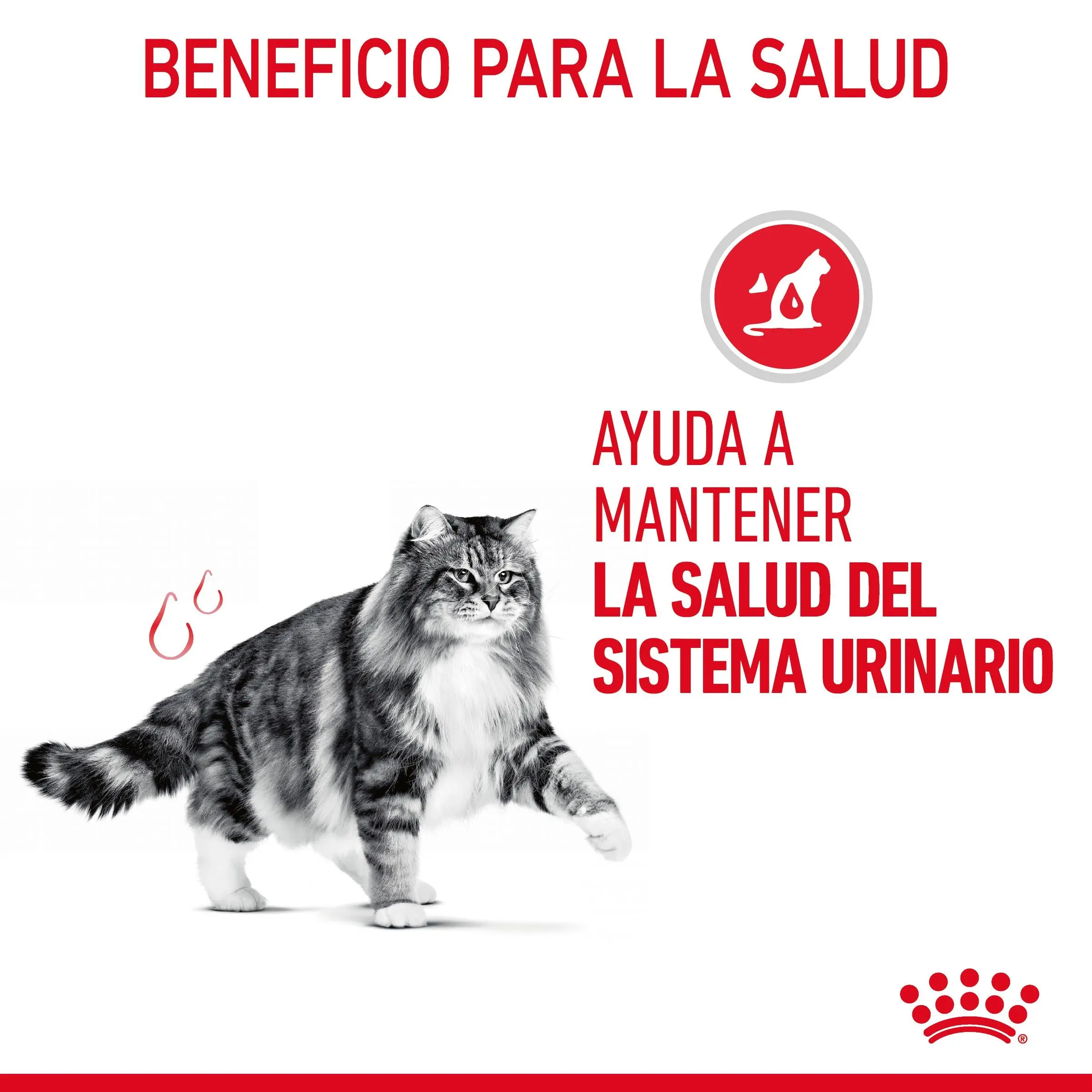 Royal Canin Urinary Care 85 g Salsa Comida Húmeda para Gatos - Image 4