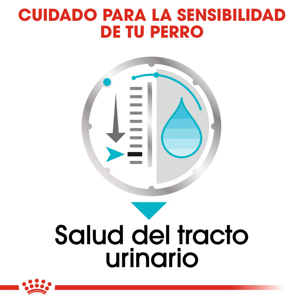 Royal Canin Urinary Care Paté 85 g Comida Húmeda para Perros - Image 6