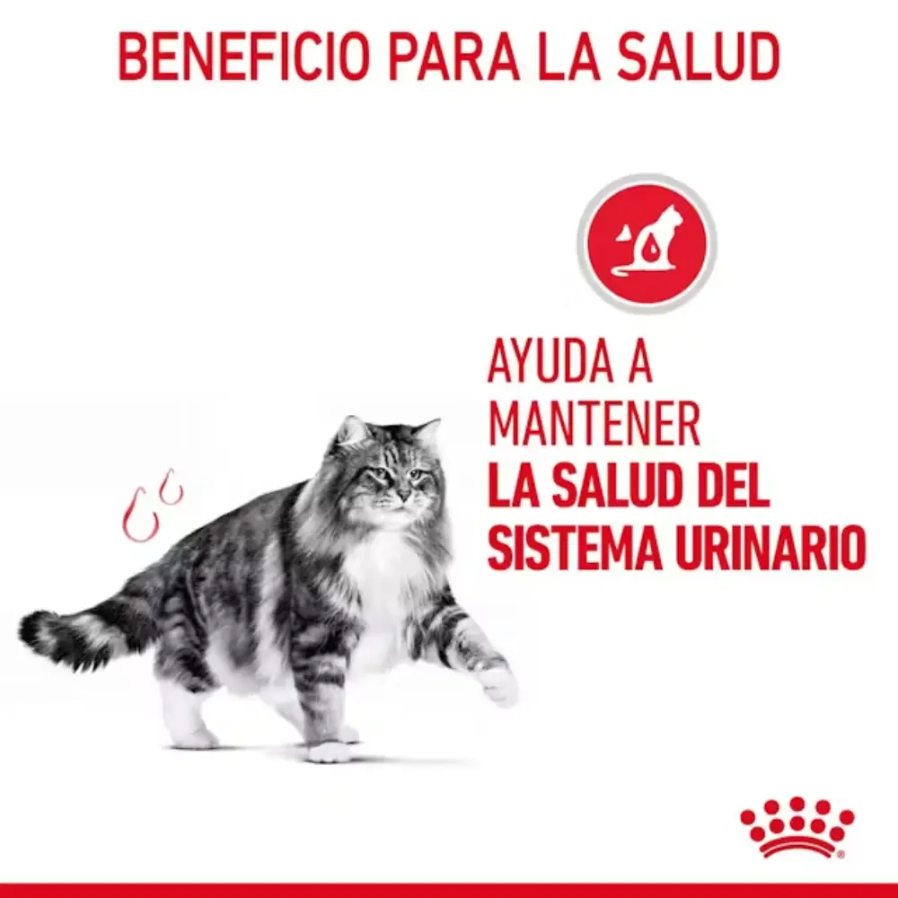 Royal Canin Urinary Care Pienso para Gatos - Image 4