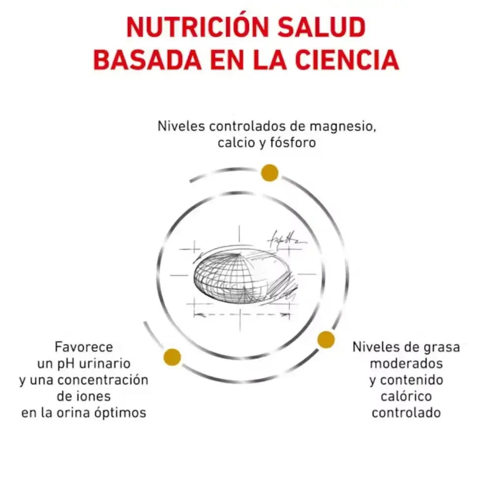 Royal Canin Veterinary Urinary Moderate Calorie Pienso para Gatos - Image 3