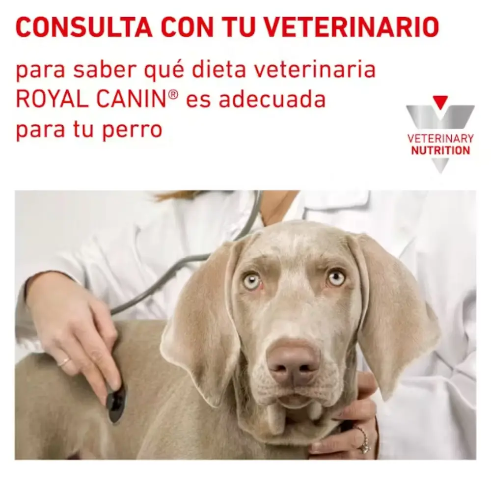 Royal Canin Veterinary Urinary S/O Sobre 100 g Perro húmedo - Image 2