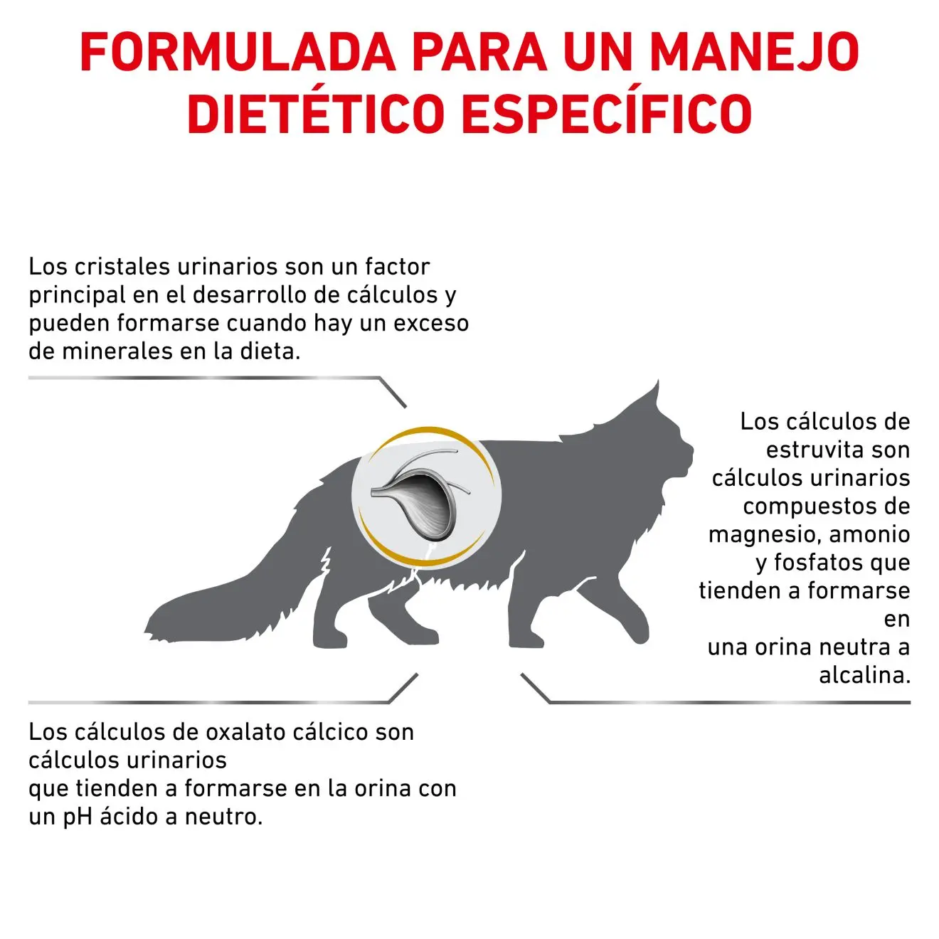 Royal Canin Veterinary Urinary S/O Pienso para Gatos - Image 3