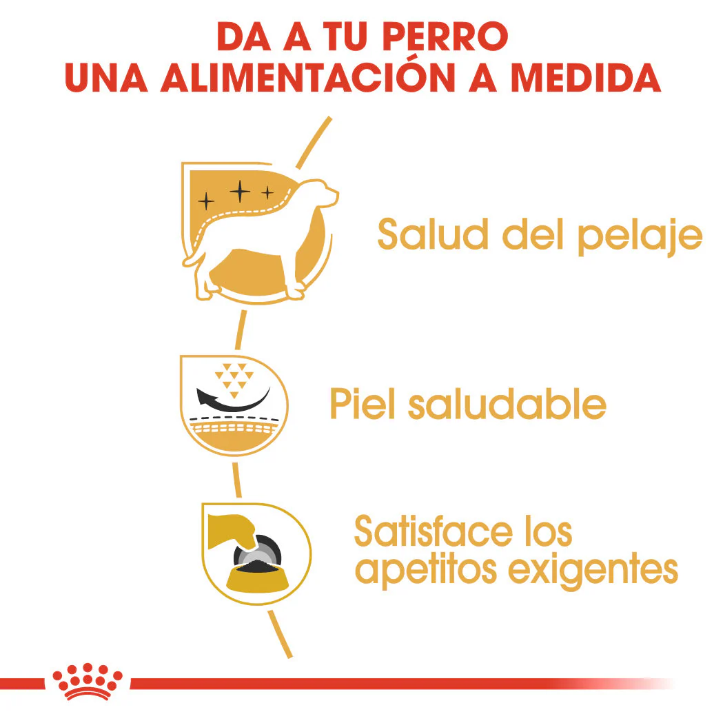 Royal Canin West Highland White Terrier Adulto Pienso para Perros de Raza - Image 3