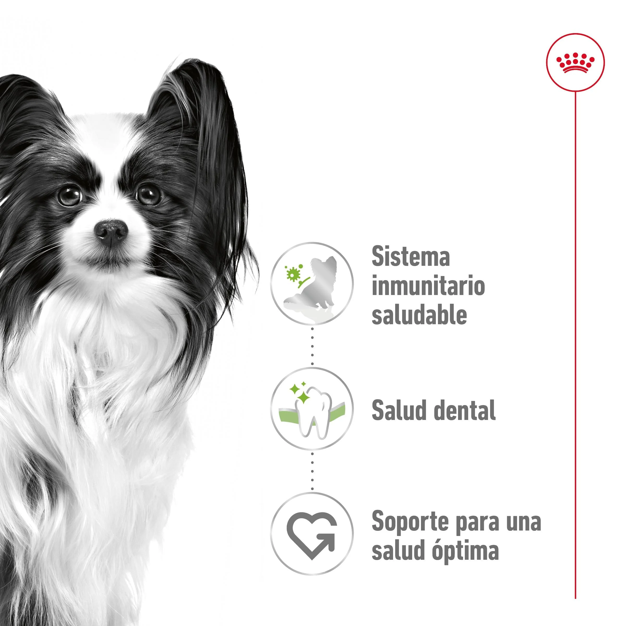 Royal Canin X-Small Adulto Pienso para Perros - Image 4