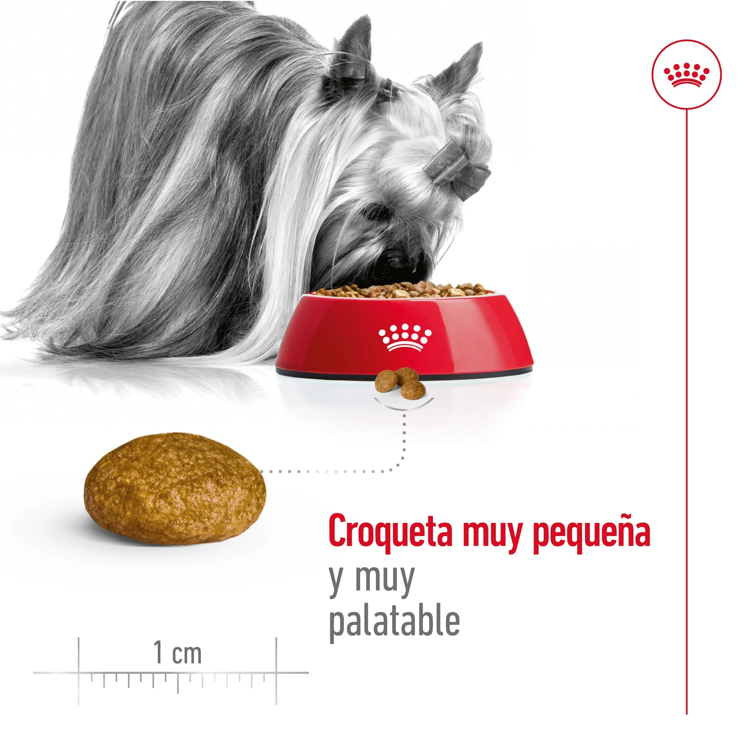Royal Canin X-Small Adulto Pienso para Perros - Image 5