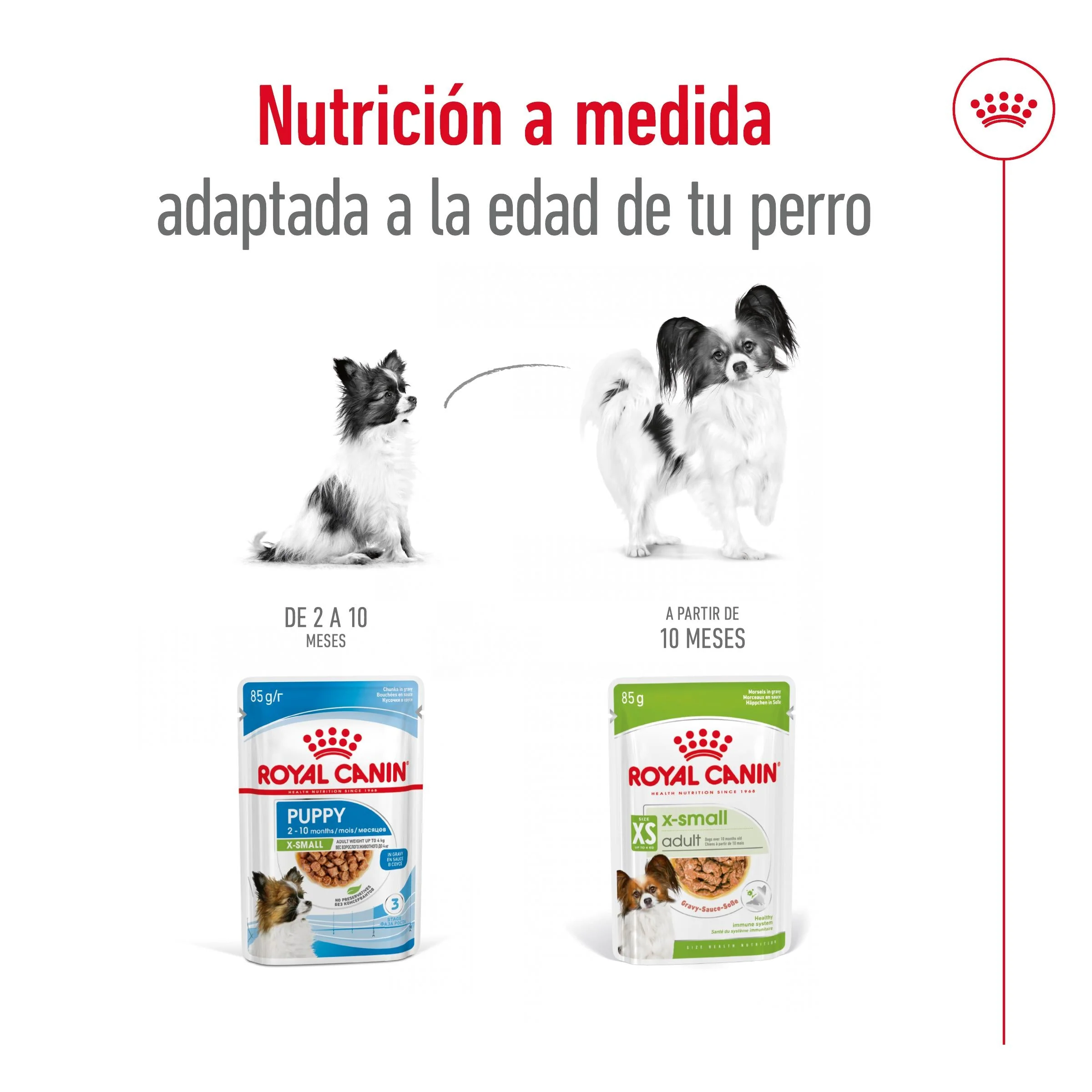 Royal Canin X-Small Adulto 85 g Comida Húmeda para Perros - Image 4