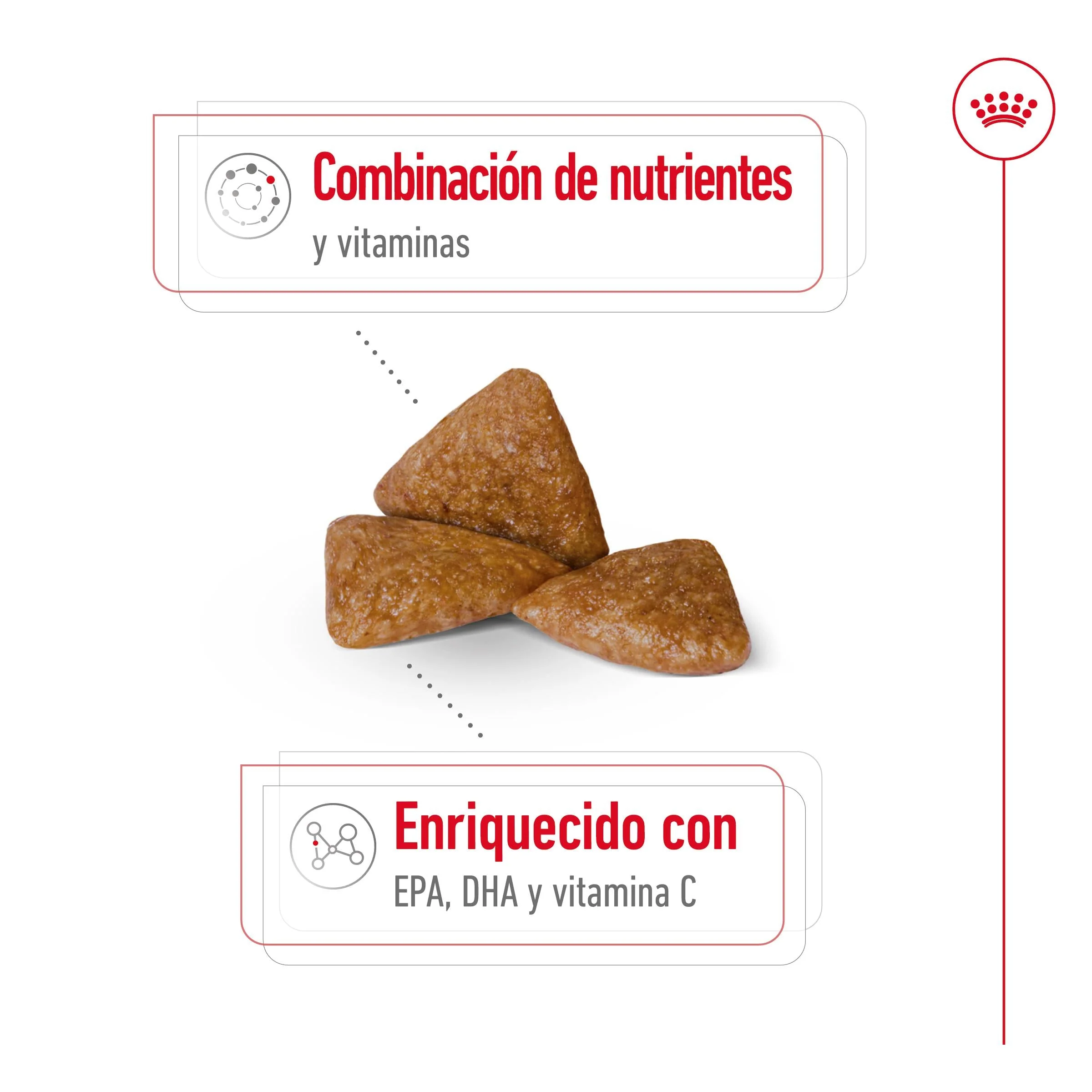 Royal Canin X-Small Ageing 12+ Pienso para Perros Senior - Image 3