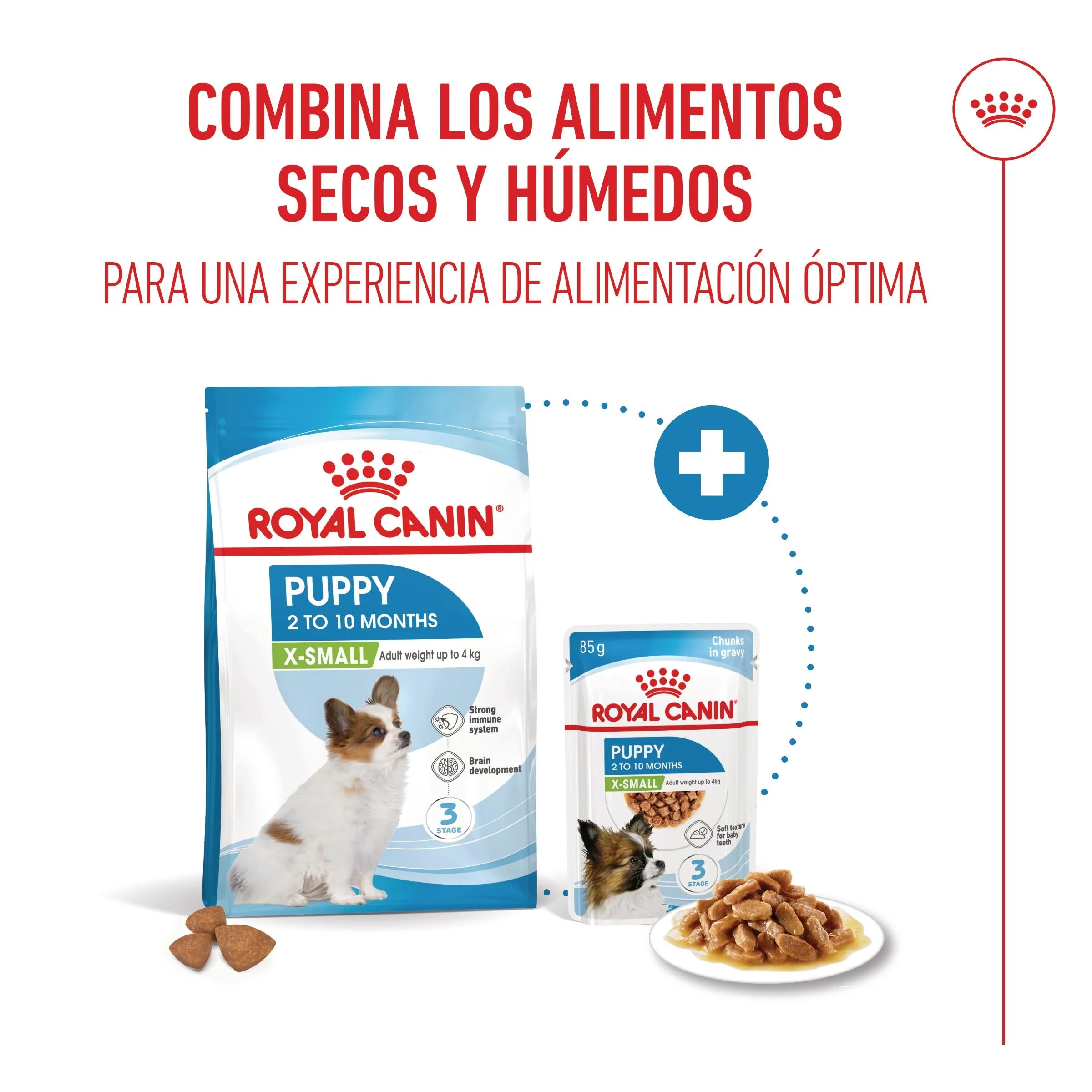 Royal Canin X-Small Puppy Pienso para Cachorros - Image 2