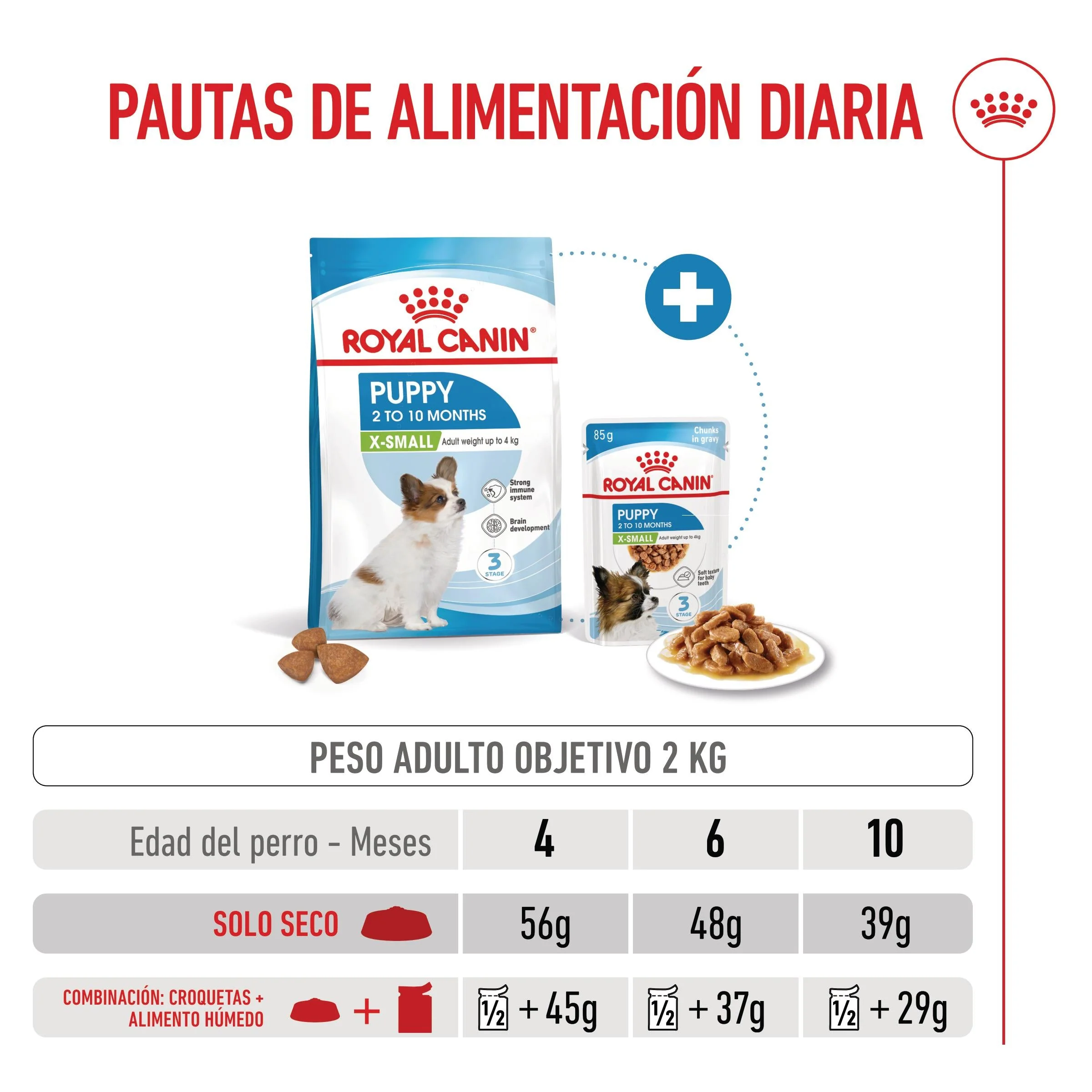 Royal Canin X-Small Puppy Pienso para Cachorros - Image 4