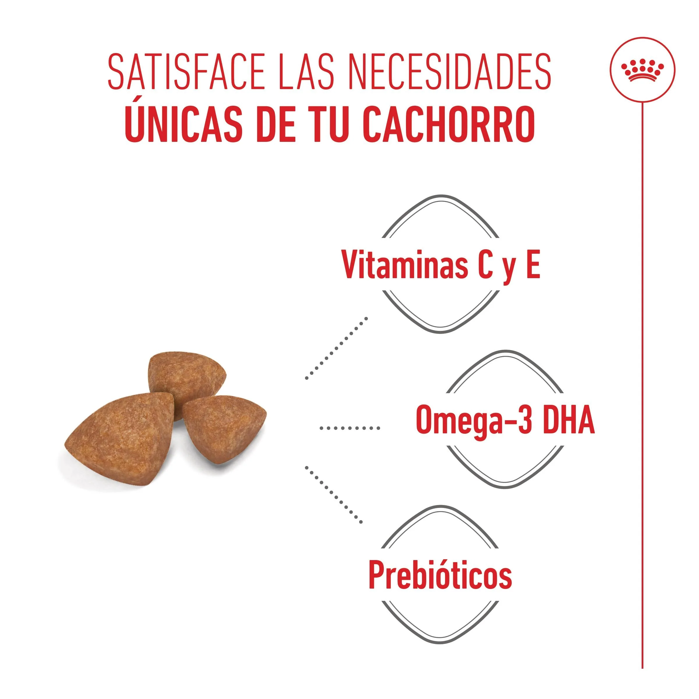 Royal Canin X-Small Puppy Pienso para Cachorros - Image 6